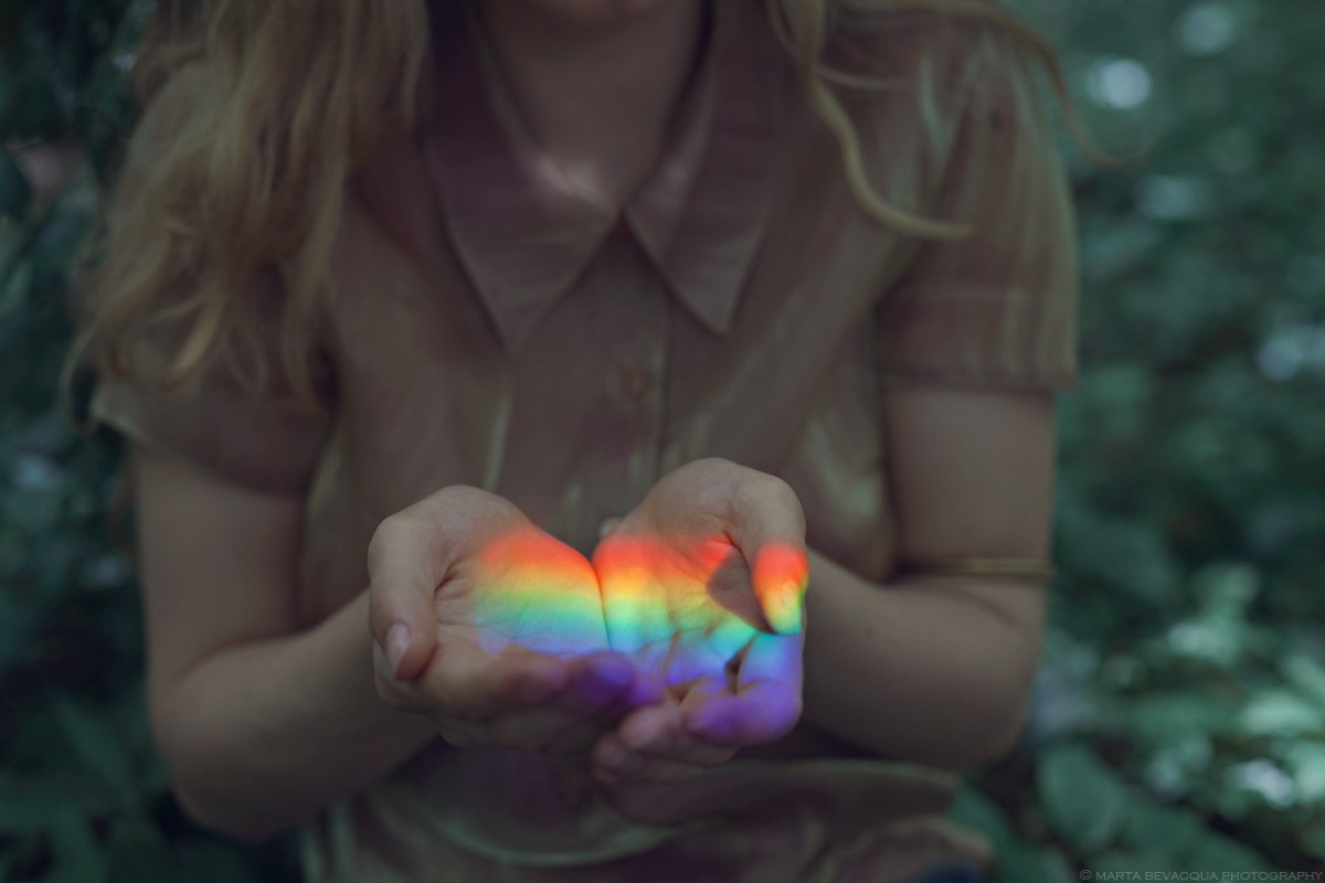 Marta Bevacqua || Libellule