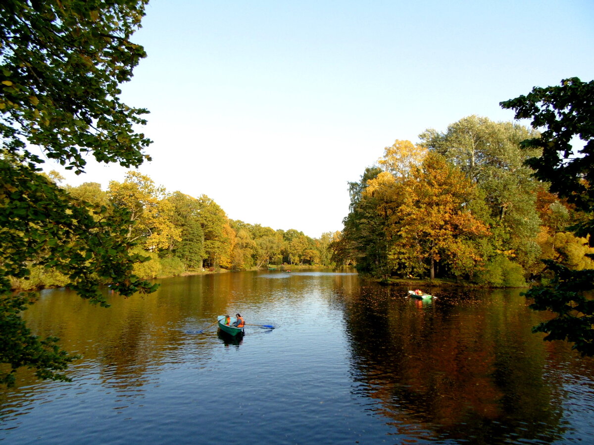 Осенний Елагин остров. Фото автора