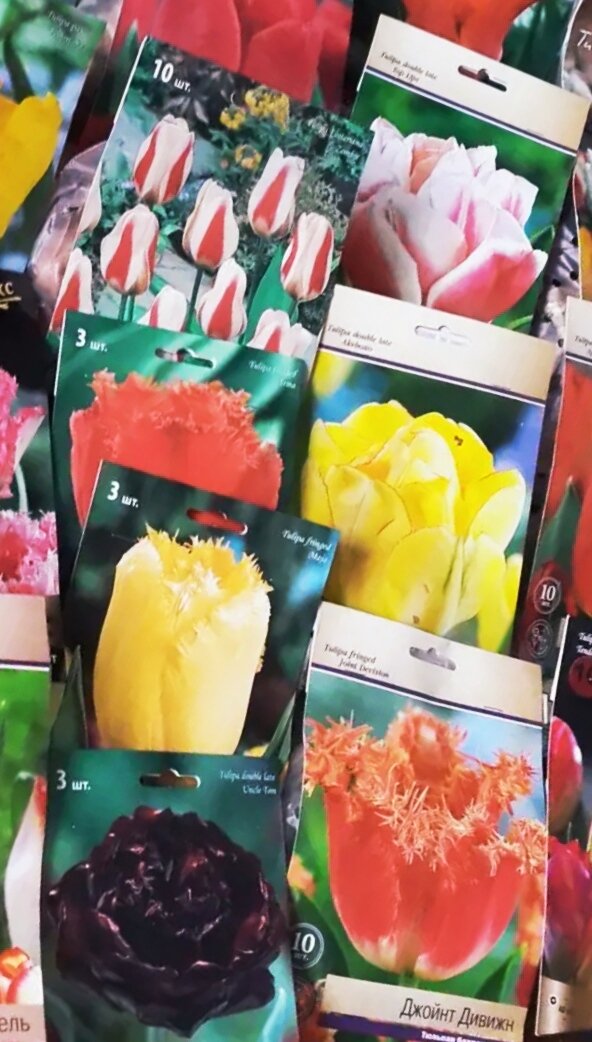 Продажи идут полным ходом