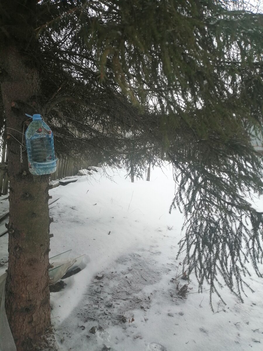 Начало марта, снег и не думал сходить