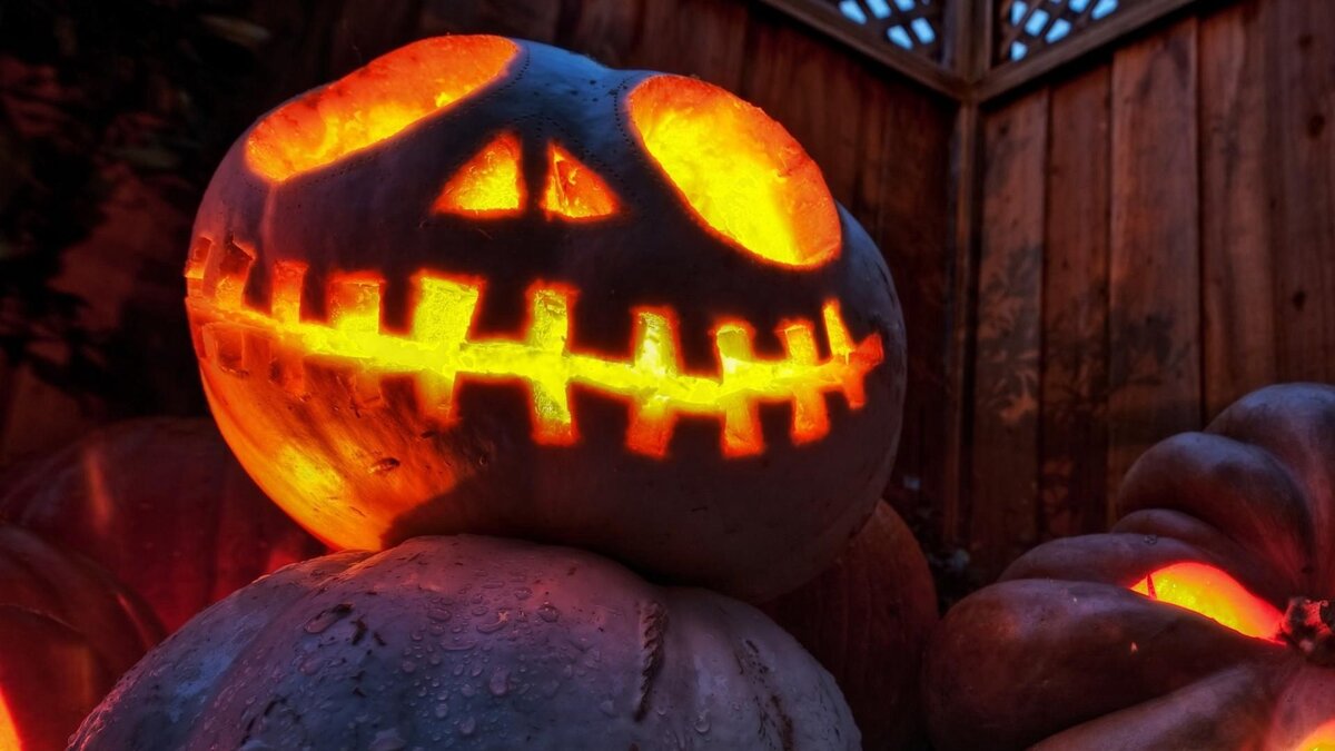 Тыква - главный символ Хэллоуина. Источник: Яндекс картинки