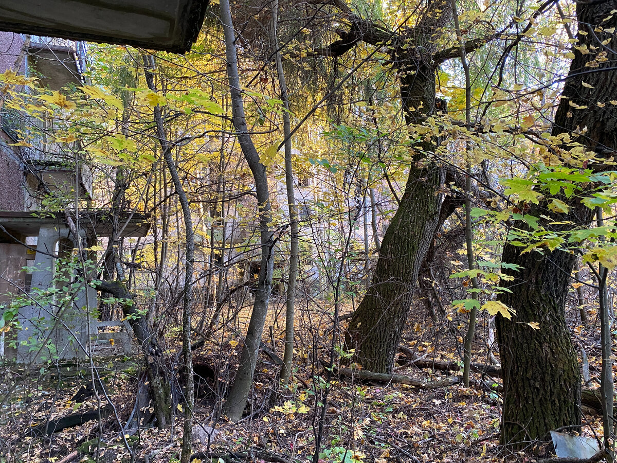 Подвалы Припяти