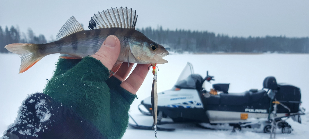 первый матрос