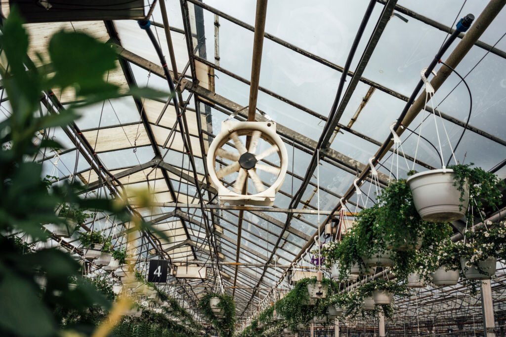 Проветривание в теплице