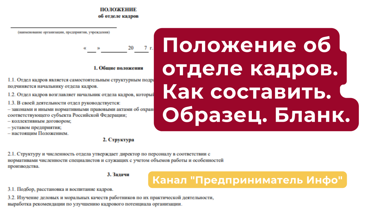 Положение об отделе кадров. Как составить. Образец. Бланк. Канал "Предприниматель Инфо"