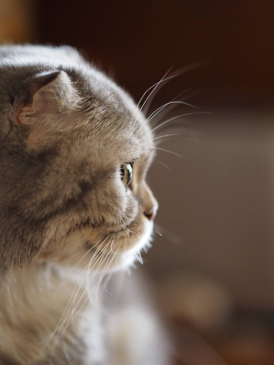 Сестра ещё и отлично фотографирует 