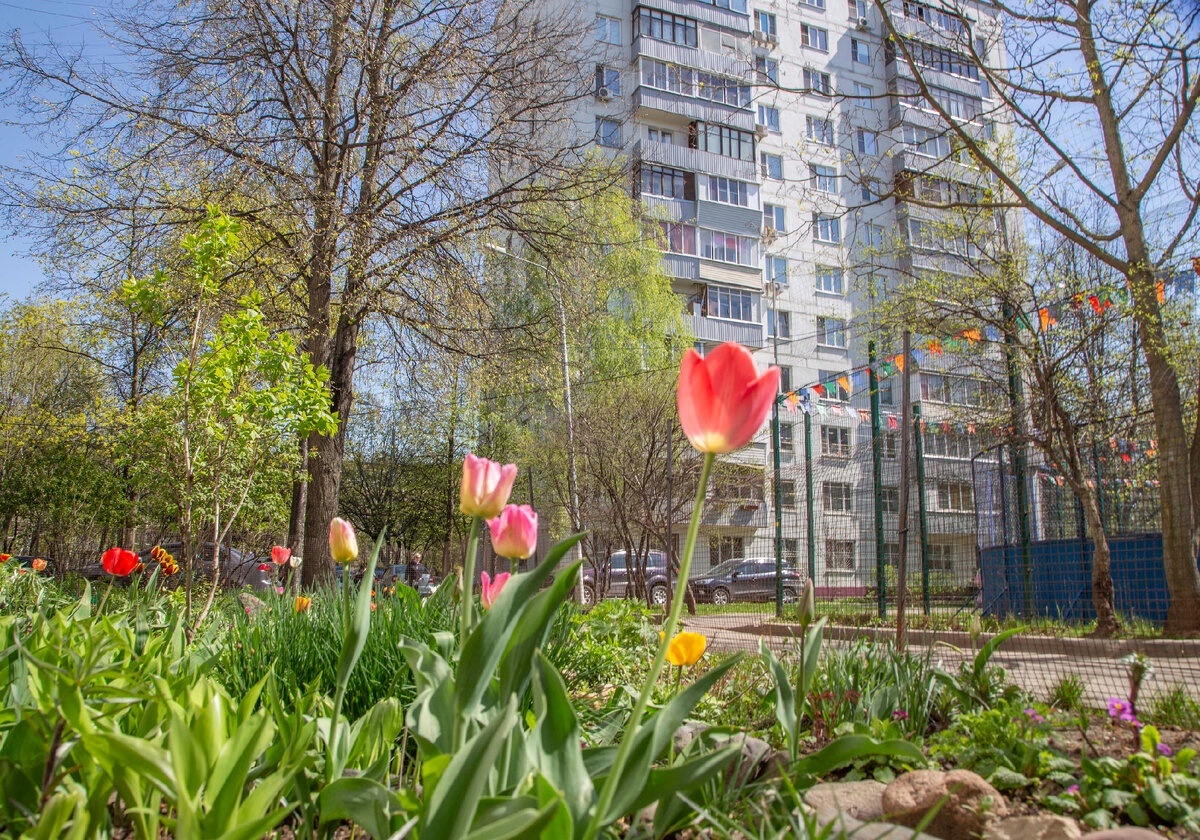 Пришла весна (фото П. Юрчик)