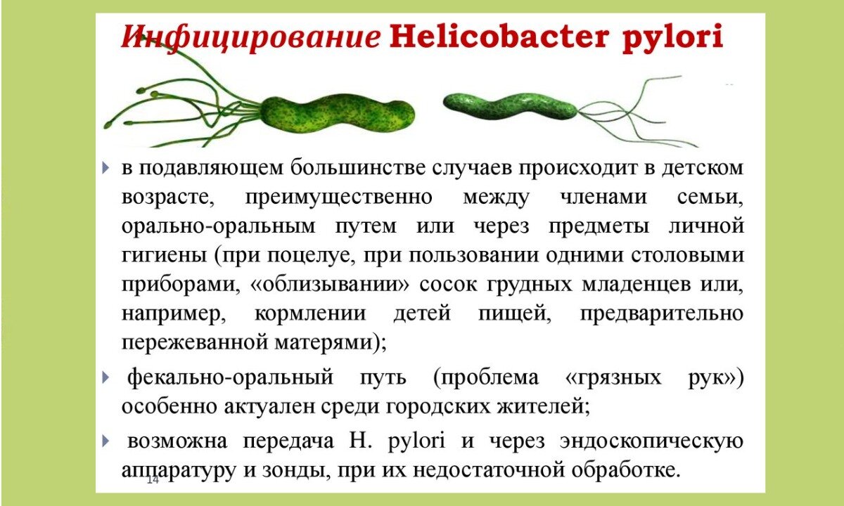 Причины заболевания хеликобактером. Бактерия хеликобактер симптомы. Хилакобактерия пилори симптомы. Бактерии Helicobacter pylori симптомы. Проявление хеликобактер пилори.