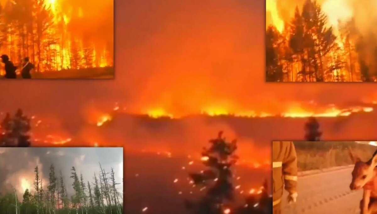 Пожар в озерах. Лесные пожары в Сибири 2019 год. Лесные пожары в Сибири летом 2019 года. Горящие леса. Пожар у озера.