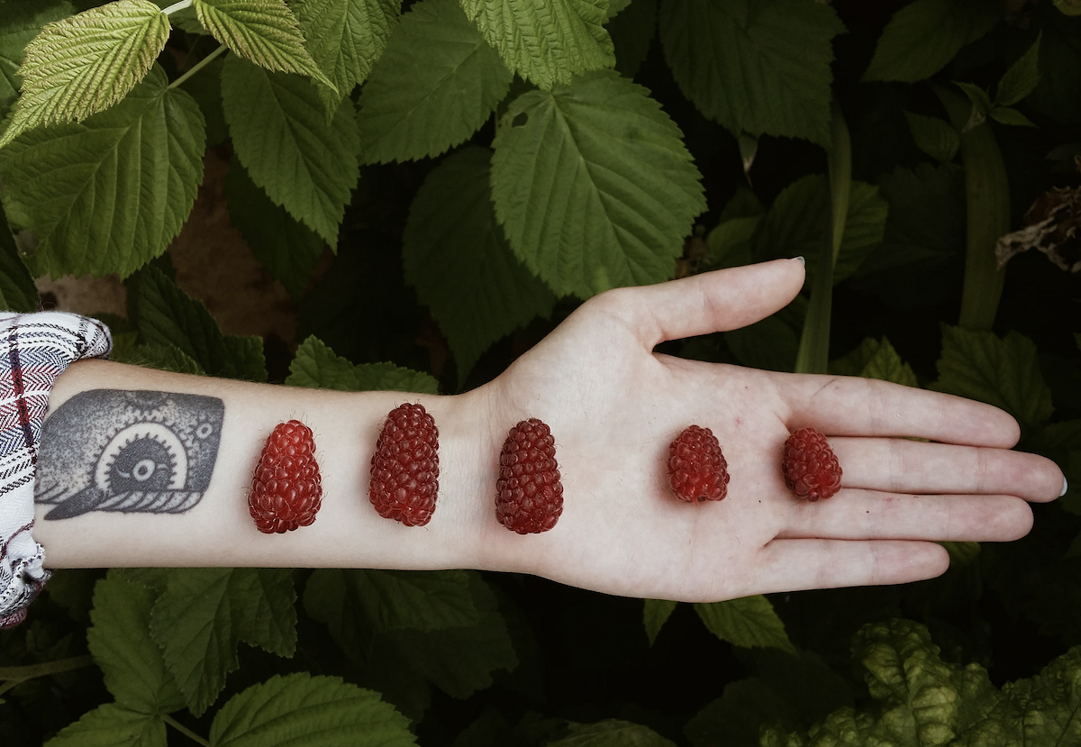     Сколько нужно использовать за раз шампуня, бальзама и других средств для волос