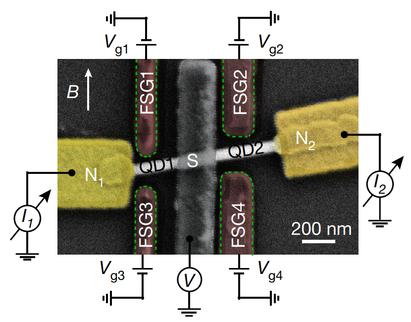     Ложноцветное СЭМ-изображение устройства по делению куперовских пар с нанесенной на него электрической схемой. S обозначает сверхпроводник, N – обычные проводники, QD – квантовые точки, FGS – ферромагнитные затворы, наводящие магнитное поле на спин-фильтры. Arunav Bordoloi et al. / Nature, 2022