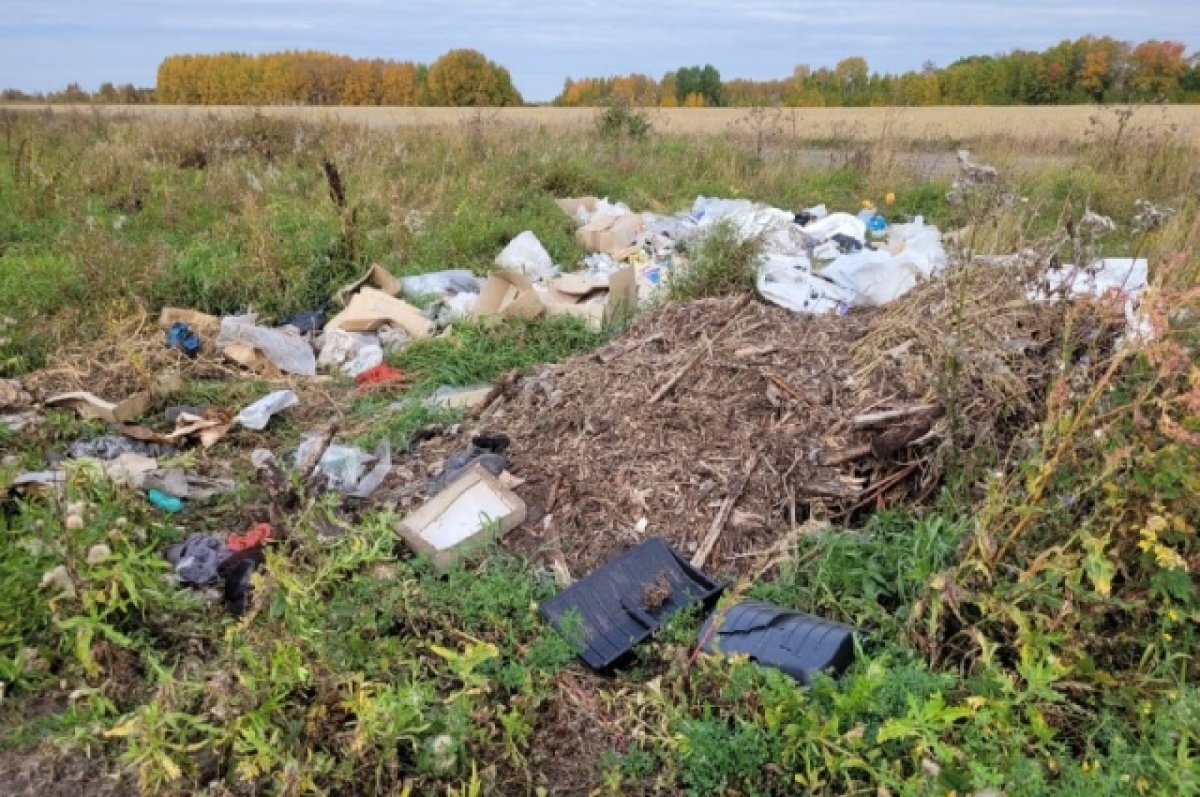    В Тюменской области обнаружили свалку площадью 1,4 га