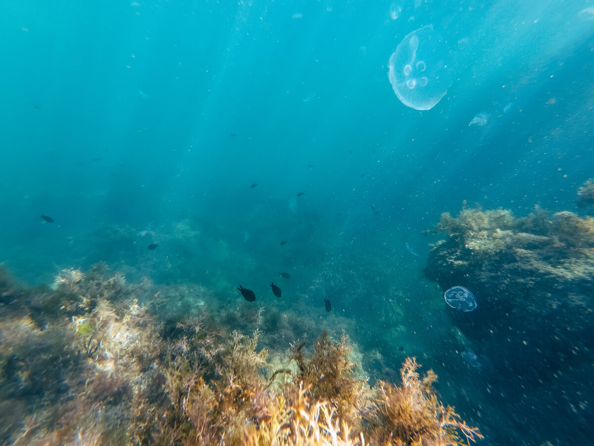 азовское море под водой