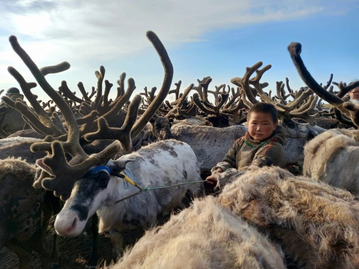 фото: Анны Лаптандер
