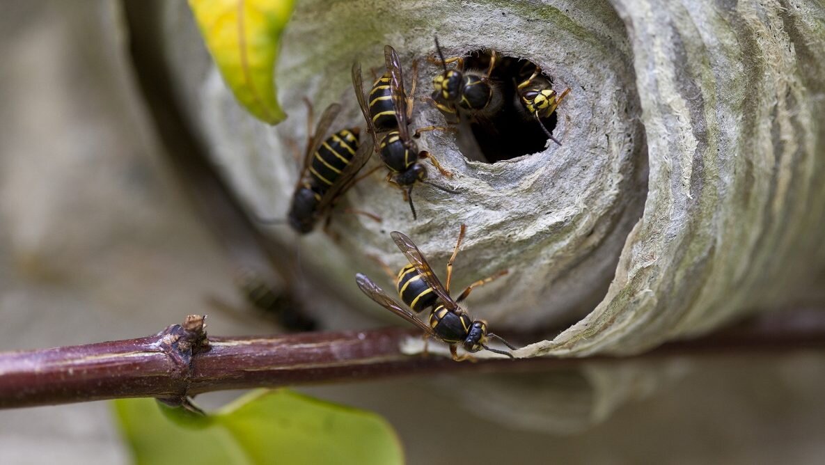 Фото из открытых источников.