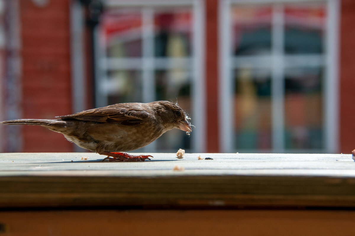 Фото: Svetlana Vozmilova/Global Look Press 