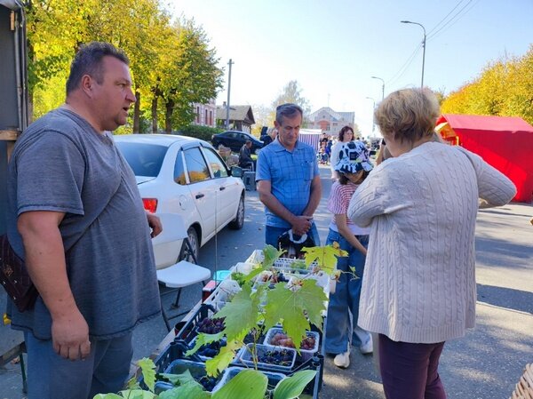    В Палехе на ярмарке можно купить "Патриота", "Президента" и настойку моли
