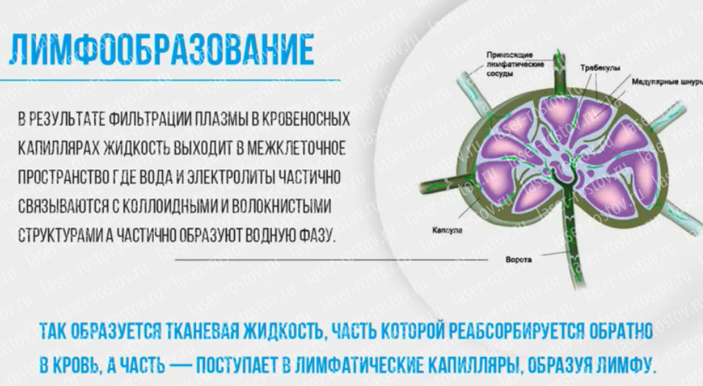 Можно ли делать татуаж во время беременности - блог мастера татуажа Степановой Виктории