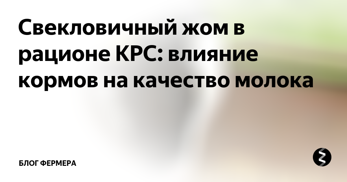 Свекловичный жом в рационе КРС: влияние кормов на качество молока ...