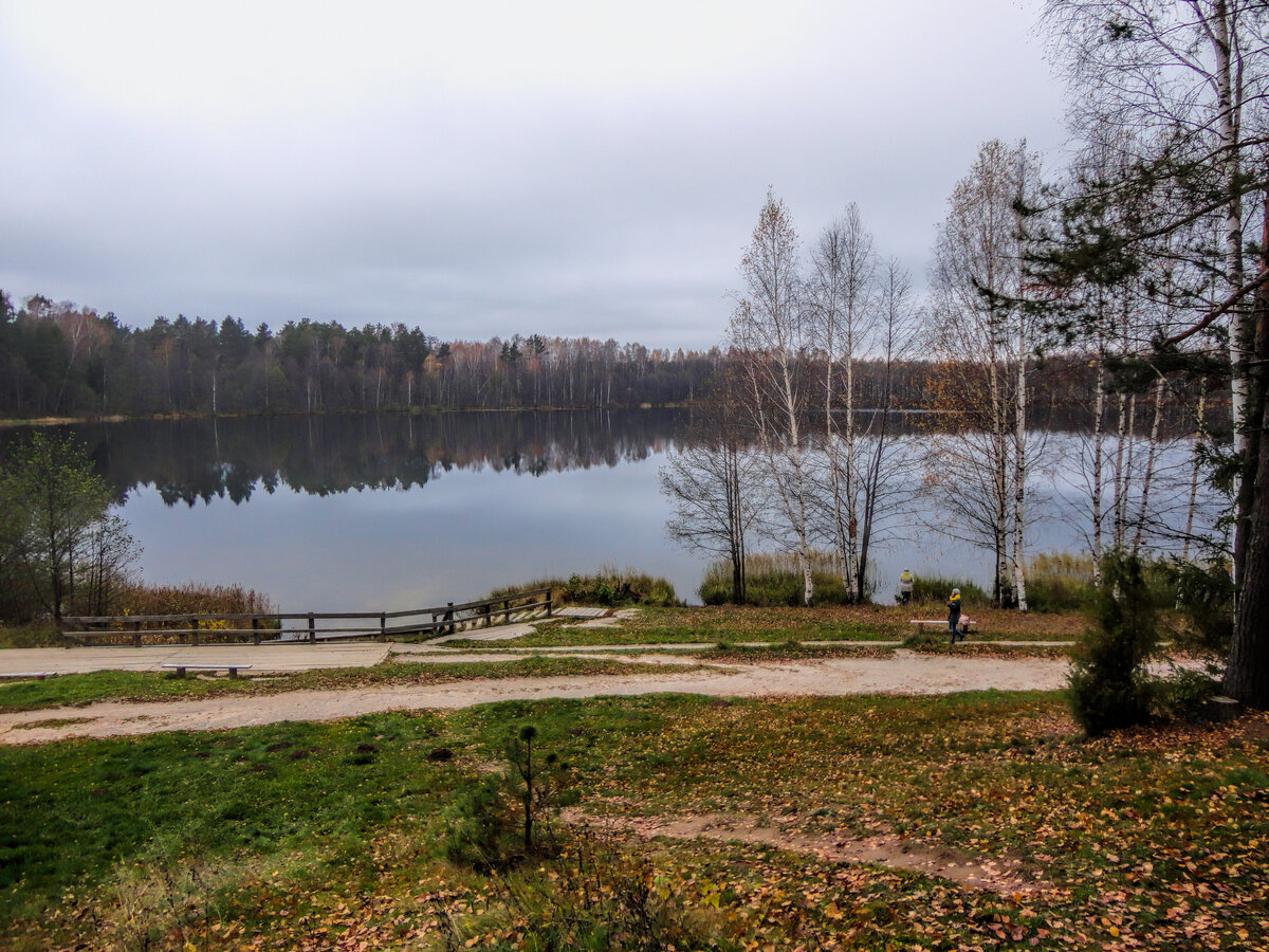 Светлояр озеро Нижегородская область осенью