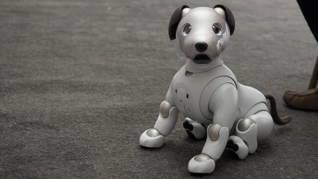 Поиграть с Aibo хотел каждый посетитель выставки!