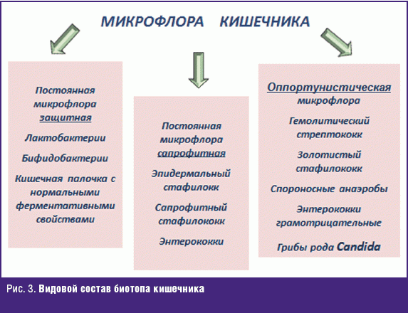 Бактериальный вагиноз: причины, симптомы, лечение