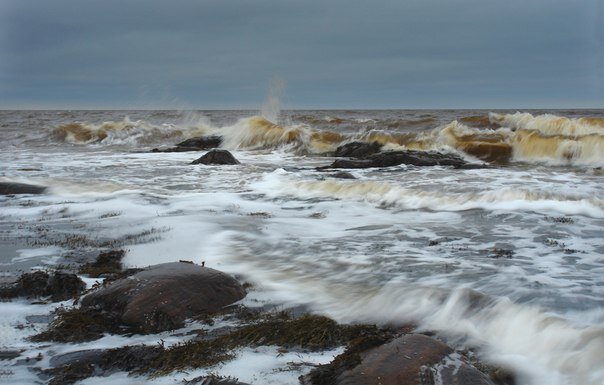 
фото Виктора Дрягуева
