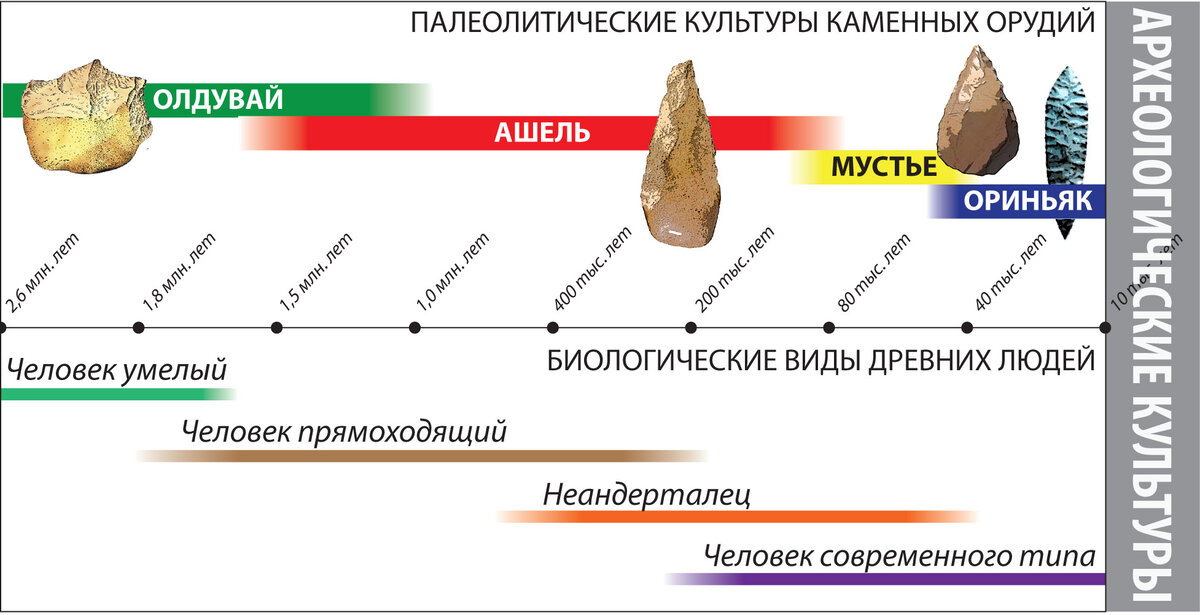 Хронологическая таблица основных культур палеолита 