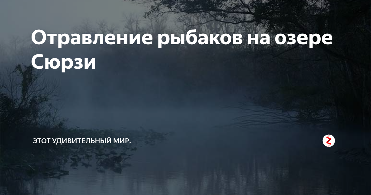 Озеро сюрзи на карте в архангельской области Архангельское озеро