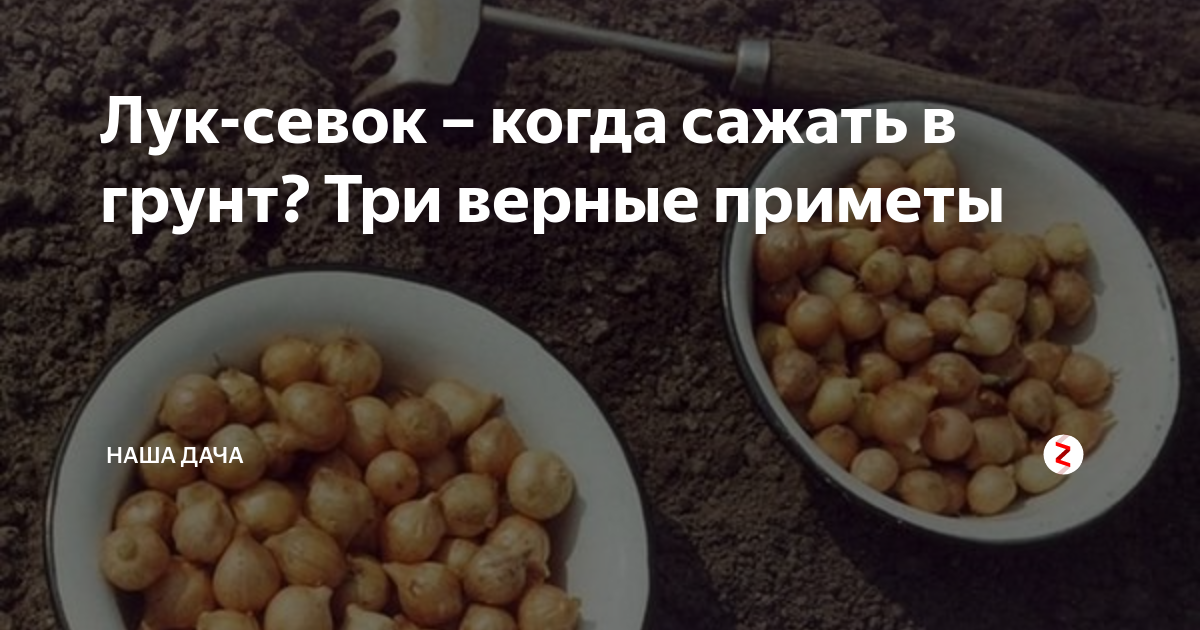 Когда по народным приметам сажать лук. Народные приметы по посадке. Народные приметы для посева и посадки овощей. Верная примета. Посадка овощей по народным приметам.
