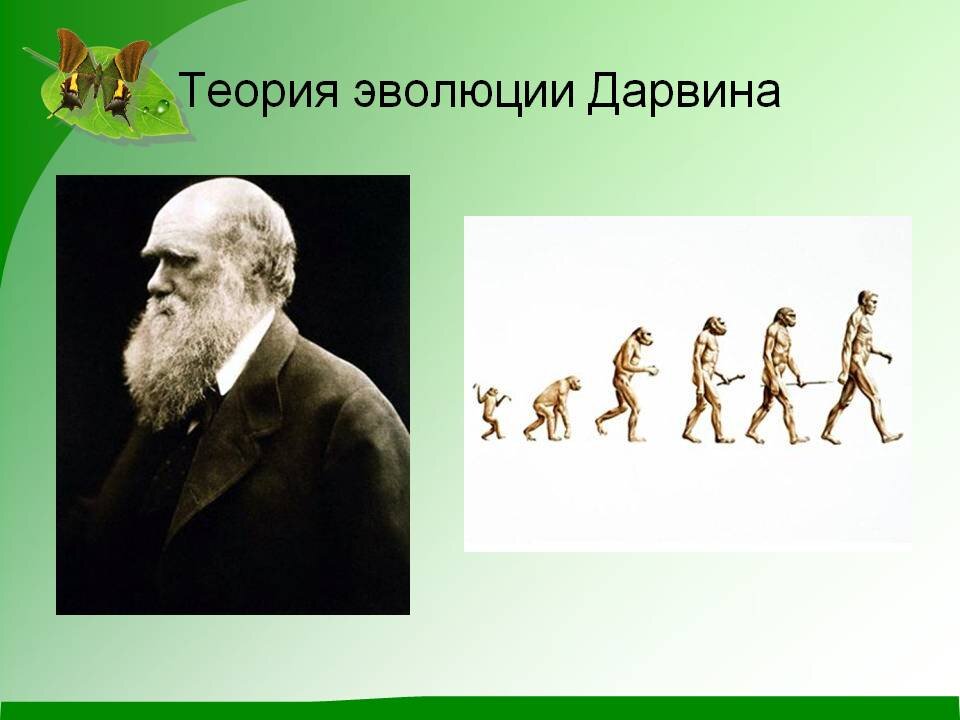 Дарвин презентация на английском
