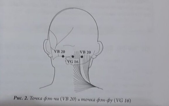 Фен фу на голове точка как с ней работать