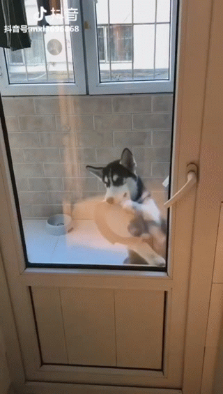 гифка: reddit.com