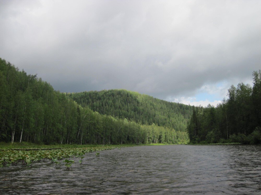 Фото енисейского кряжа