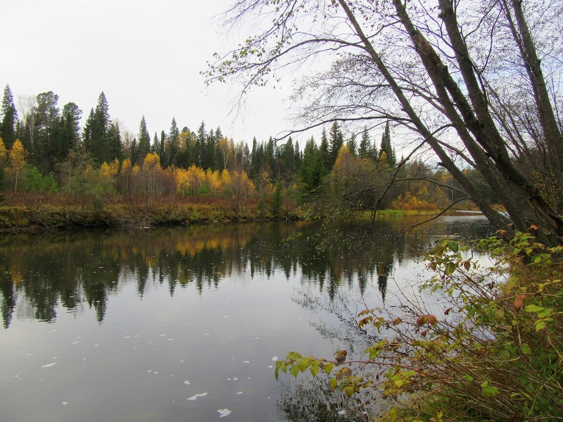 Вагран у нас неширокий и неглубокий. Но, местами встречаются ямы, довольно немаленькие. Можно провалиться по самое горло. Берет свое начало в горах Урала. От этого места не так далеко.