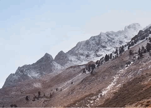 Проговаривание фраз в терминале Mas OS