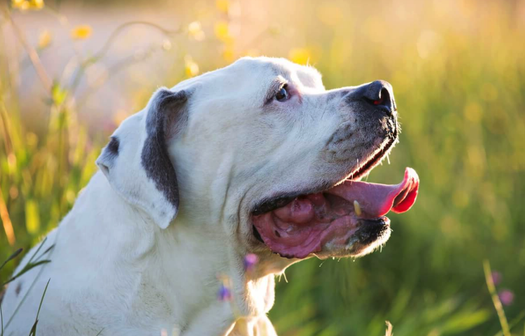 Палец вверх и подписка красавцу! 😜 😝 