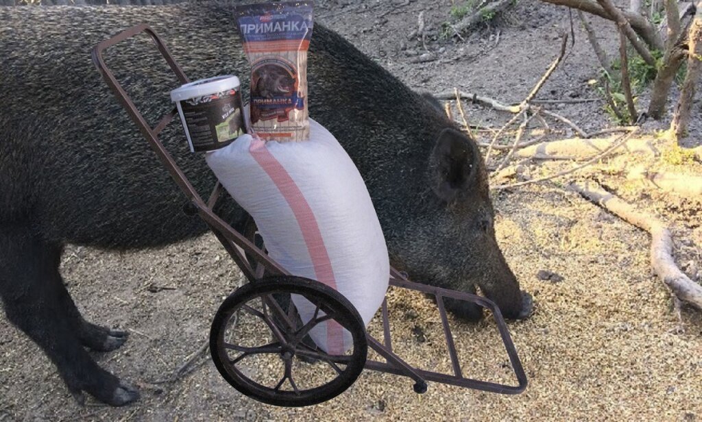 фото с сайта http://zasidka.ru/upload/medialibrary/6d0/6d0ce2f88ff7a1dd932adce481f0e319.jpg