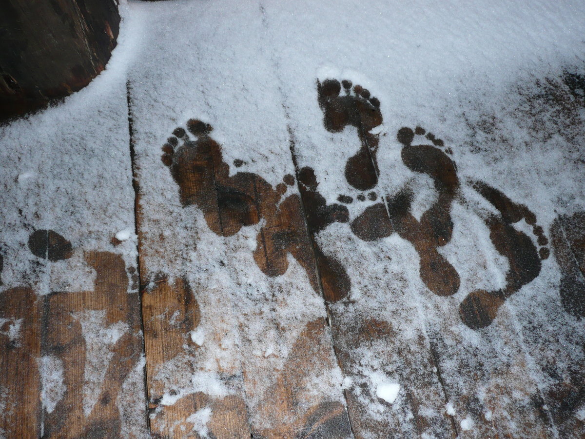 Поход в баню©yandex.com