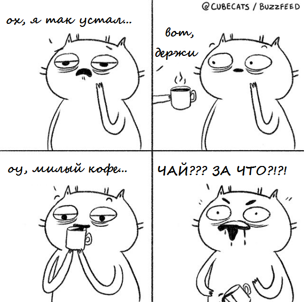 переведено с английского @cubecats / instagram.com 