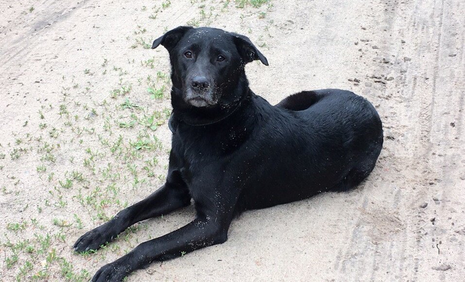 Пишите комментарии, делитесь публикацией с друзьями в соц. сетях. Спасибо.