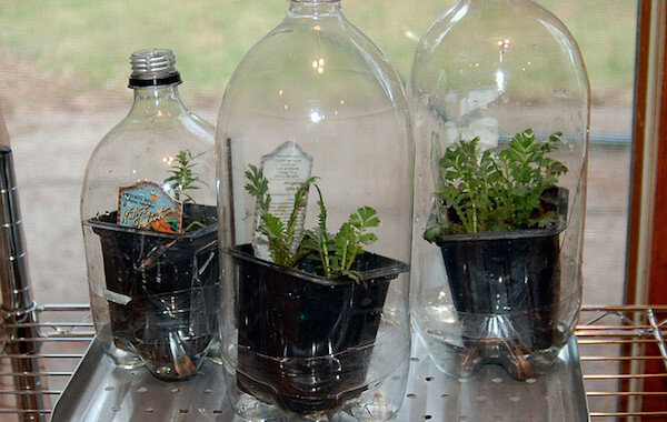 Фото: http://www.agfoundation.org/images/uploads/_660w/greenhouse_bottles.jpg