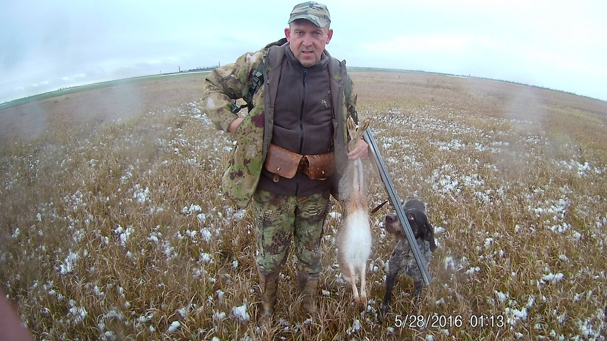 охота на зайца в крыму 2021 2022. охота на зайца в крыму 2020. охота на зайца краснодар. охота на зайца для купажирования. охота на зайца в полтавском районе омской области.