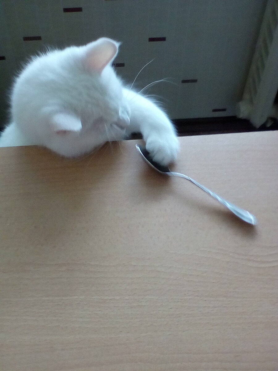 Ложки не существует.