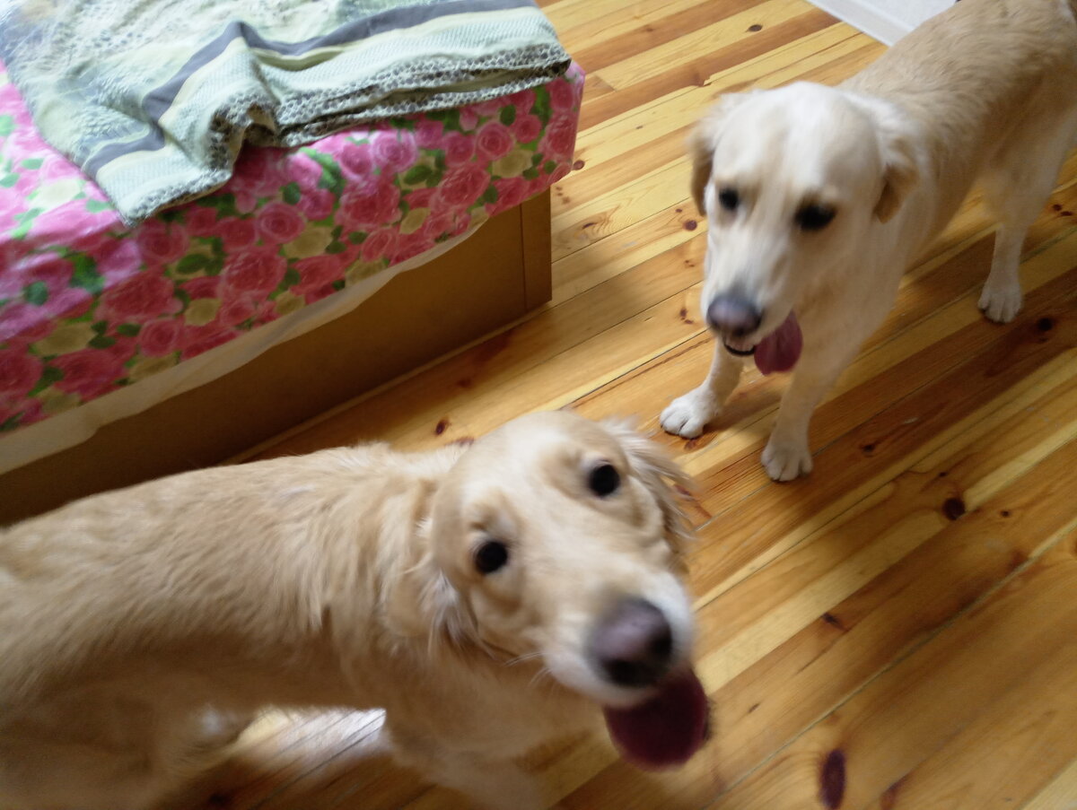 Лайма и Куба