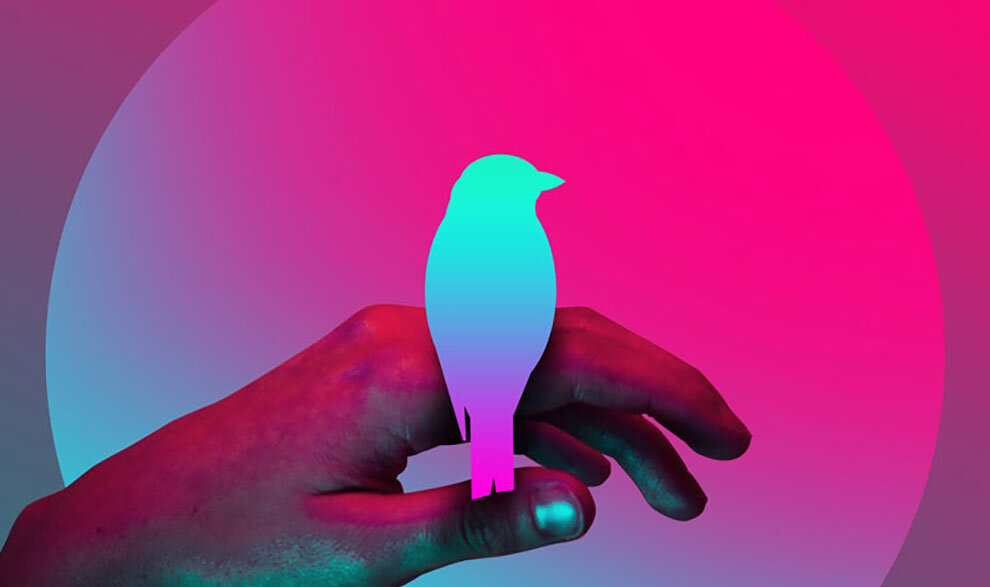 Источник: https://asterica.ru/blog/aktualnie-trendi-veb-dizayna