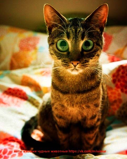 А знали ли вы, что только в России приходят с больничного загорелыми?!