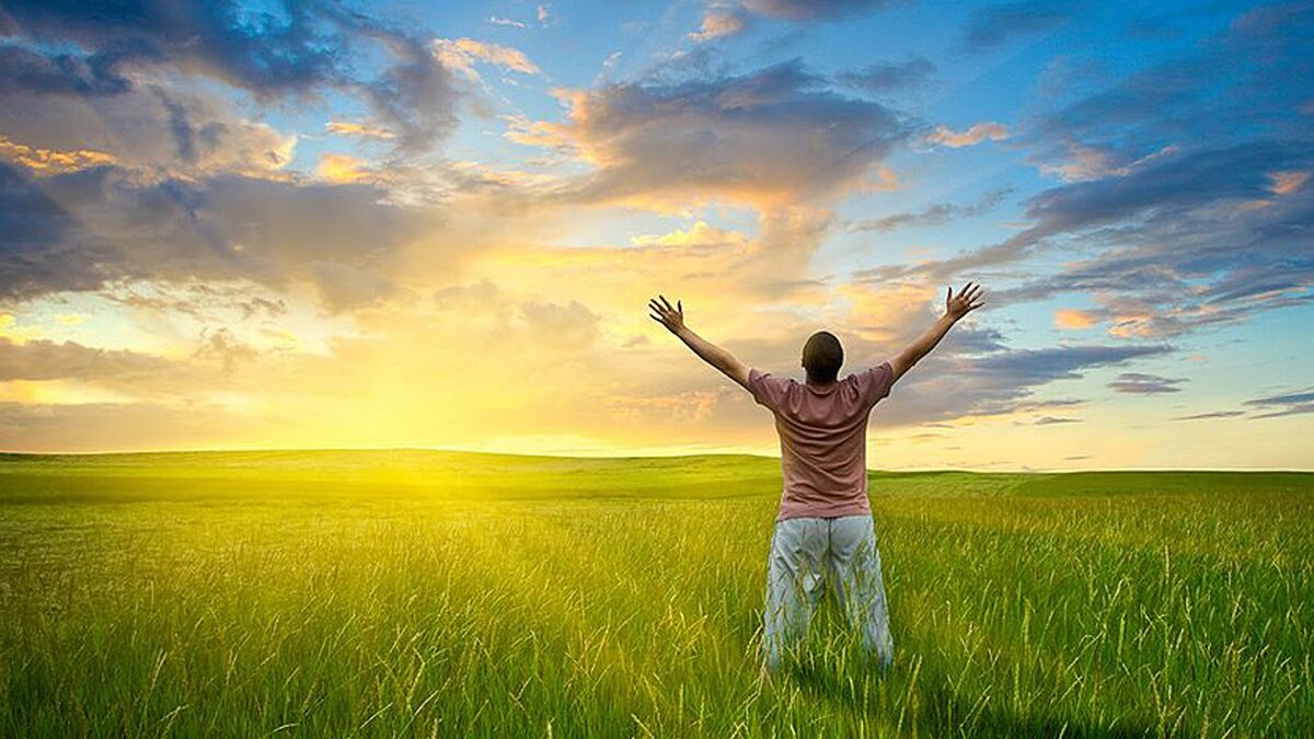 " Радость жизни в ее созерцании и осознании себя, как ее неотЪемлемой части"