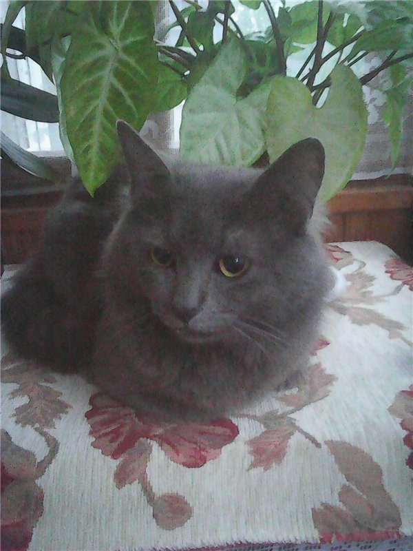 Вениамин в первый день