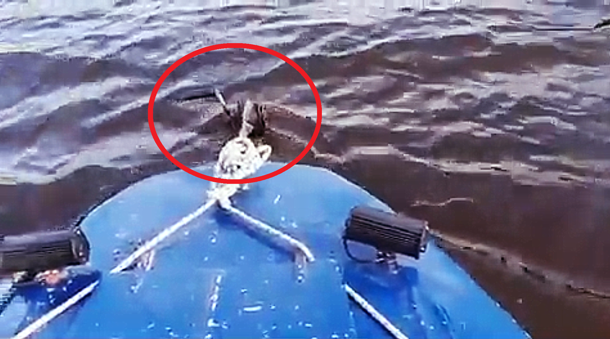 На изображении выделена лебёдка лодочного прицепа. Лодка плывёт, но прицеп не сняли...